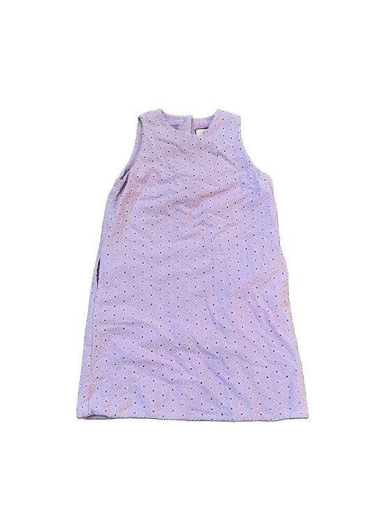 Tuckernuck Dresses & Skirts - Tuckernuck Women’s Lavender Folly Dress Eyelet Lace Size Small Shift Buttons